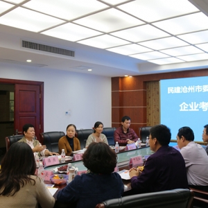 滄州民建考察團、南寧市民建調(diào)研組——行來我集團參觀考察 ... ...