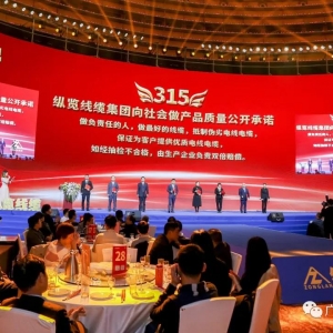今后的家裝電線市場上，又多了一支質(zhì)量過硬的廣西鐵軍