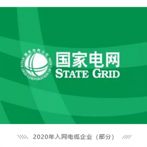 祝賀縱覽線纜集團成功進入國家電網(wǎng)供應商名錄，成為廣西唯一一家進入國網(wǎng)的電線電纜供 ...