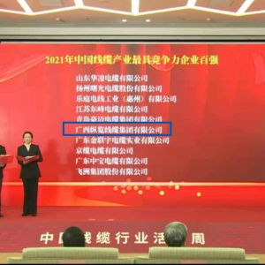 喜報！縱覽線纜集團榮膺 “中國線纜產(chǎn)業(yè)最具競爭力企業(yè)100強” ...