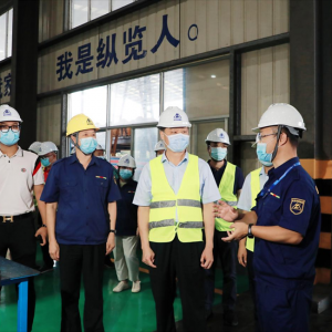 南寧市委常委、常務(wù)副市長陳竑率隊到我司考察指導(dǎo)