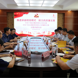 推進卓越績效模式  助力高質量發(fā)展 ——縱覽線纜集團黨支部與廣西北港新材料有限公司質量黨支部開展主題共建活動