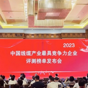 中國線纜產(chǎn)業(yè)最具競爭力企業(yè)100強發(fā)布：縱覽線纜連續(xù)五年上榜！