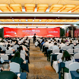 再傳喜訊！縱覽線纜集團成為廣西線纜行業(yè)唯一上榜廣西民營企業(yè)100強、廣西民營企業(yè)制造業(yè)100強企業(yè)